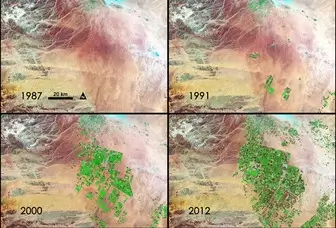 Greening of Arabia seen from space